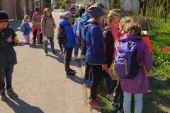 IMG-20230424-WA0022