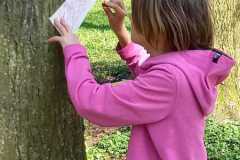 IMG-20230428-WA0019