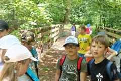 IMG-20230608-WA0008
