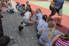 IMG-20240619-WA0010