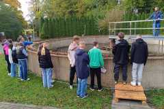 IMG-20241112-WA0048