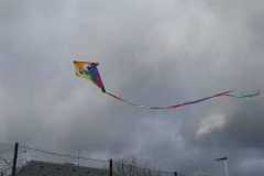 IMG-20241124-WA0031