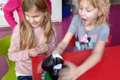 IMG-20241205-WA0016