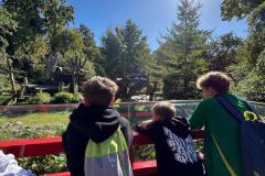IMG-20250930-WA0135