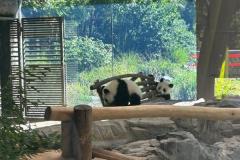 IMG-20250930-WA0136