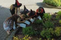 IMG-20250430-WA0038