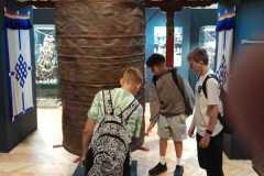 IMG-20250613-WA0038