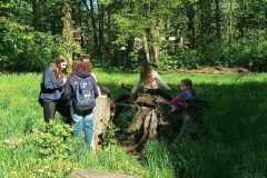 IMG-20250428-WA0037