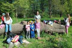 IMG-20250428-WA0041