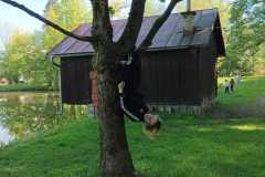 IMG-20250428-WA0049