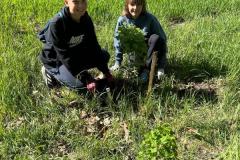 IMG-20250428-WA0086