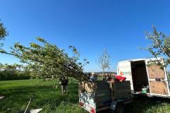 IMG-20250428-WA0100