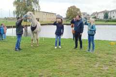 IMG-20251010-WA0003