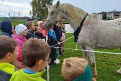 IMG-20251010-WA0006