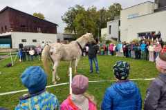 IMG-20251010-WA0007