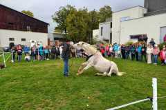 IMG-20251010-WA0011