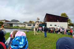 IMG-20251010-WA0012