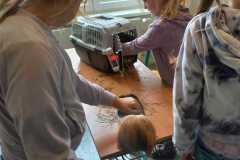 IMG-20251010-WA0016