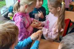 IMG-20251010-WA0017