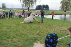 IMG-20251010-WA0049