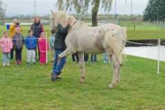 IMG-20251010-WA0054