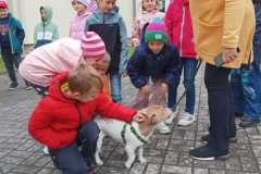 IMG-20251010-WA0070