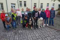 IMG-20251010-WA0087