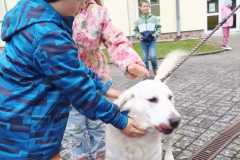 IMG-20251010-WA0089