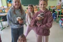 IMG-20251010-WA0095