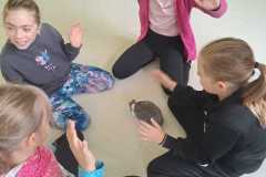 IMG-20251010-WA0101