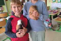 IMG-20251010-WA0102