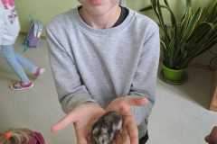 IMG-20251010-WA0114