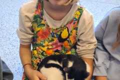 IMG-20251010-WA0118