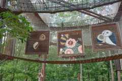 IMG-20250617-WA0116