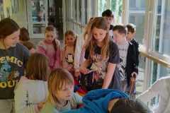 IMG-20250416-WA0010