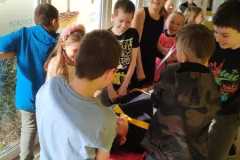 IMG-20250416-WA0020