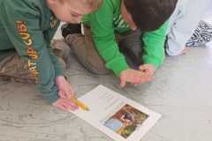 IMG-20250326-WA0001