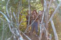 IMG-20250613-WA0017