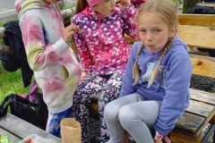 IMG-20250617-WA0026