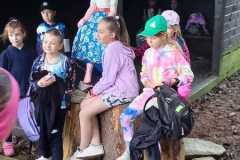 IMG-20250617-WA0049