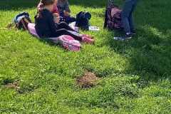 IMG-20250617-WA0054