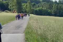 IMG-20250617-WA0066