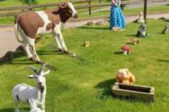 IMG-20250617-WA0088