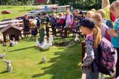 IMG-20250617-WA0090