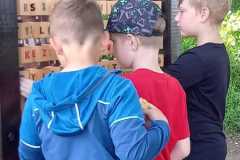 IMG-20250617-WA0092