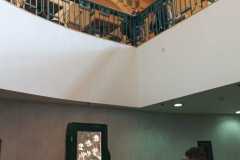 IMG-20250609-WA0064