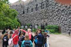 IMG-20250609-WA0096