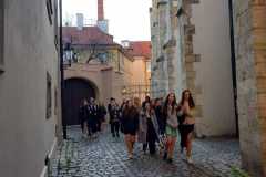 IMG-20250320-WA0019