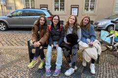 IMG-20250320-WA0044