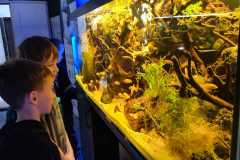 IMG-20250929-WA0006